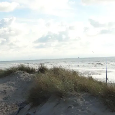 Ste Cecile A 50 Metres De La