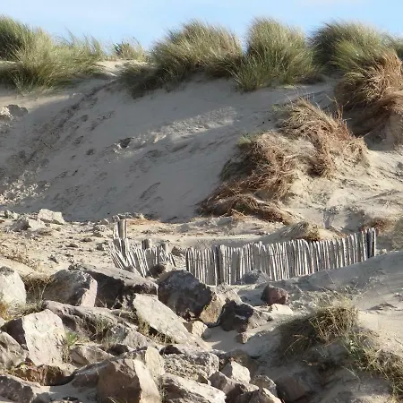 Appartement Ste Cecile A 50 Metres De La Camiers