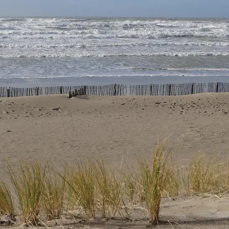 Ste Cécile à 50 Mètres De La Camiers