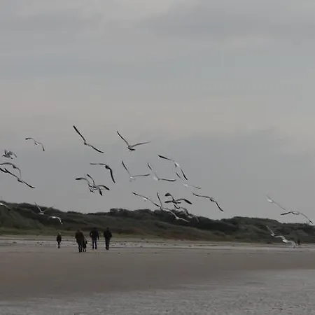 Ste Cecile A 50 Metres De La Lejlighed *