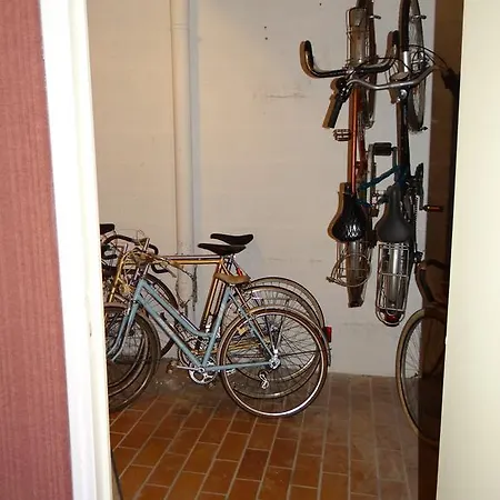 Ste Cecile A 50 Metres De La *