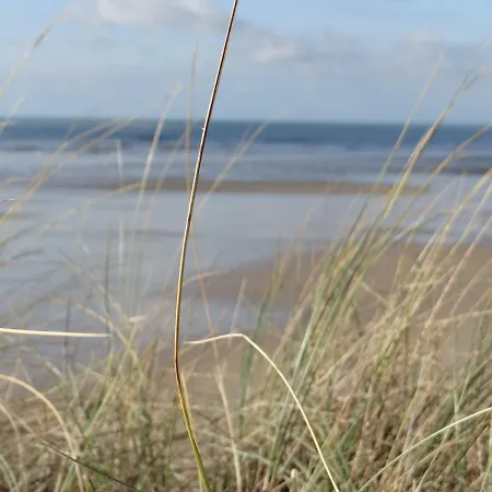 Ste Cecile A 50 Metres De La *